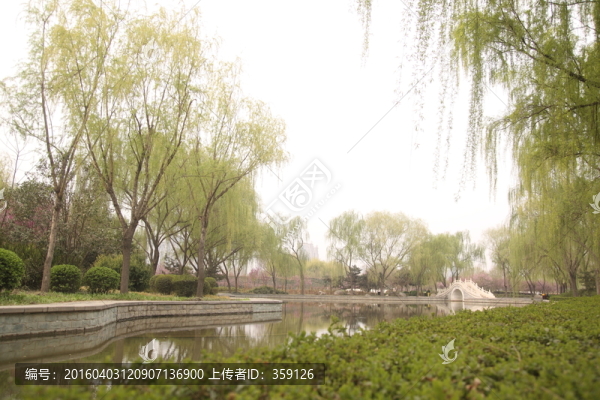 隋唐植物園