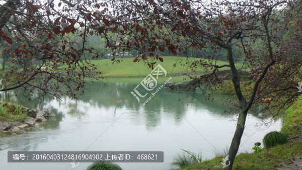 流水水面
