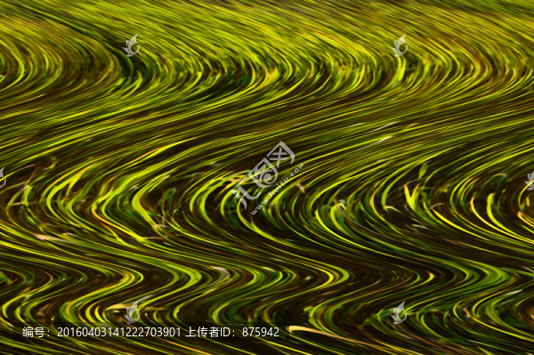 底紋背景