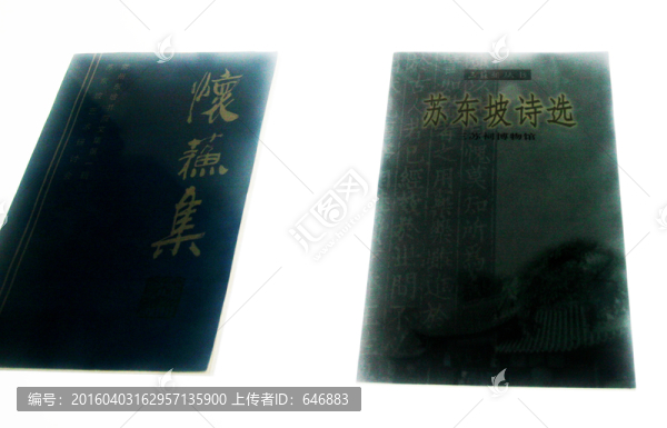 東坡集,蘇東坡,蘇公祠,旅游