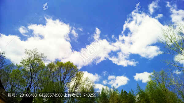 藍(lán)天白云