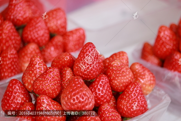 草莓