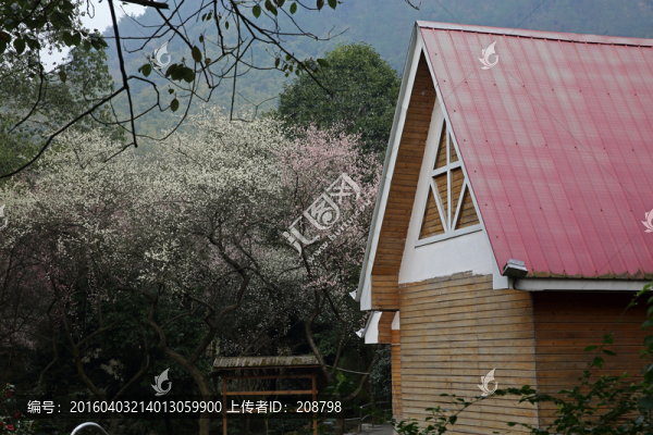 叢林木屋