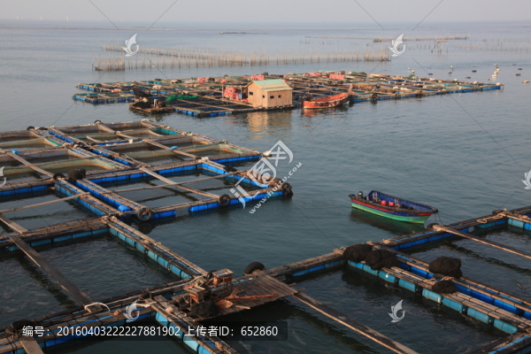 漁排,漁業(yè),海產(chǎn)品,養(yǎng)殖,漁村