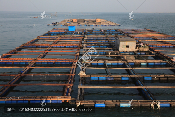 海上漁排