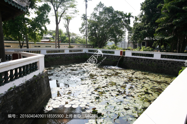 古代蓮塘,亭臺
