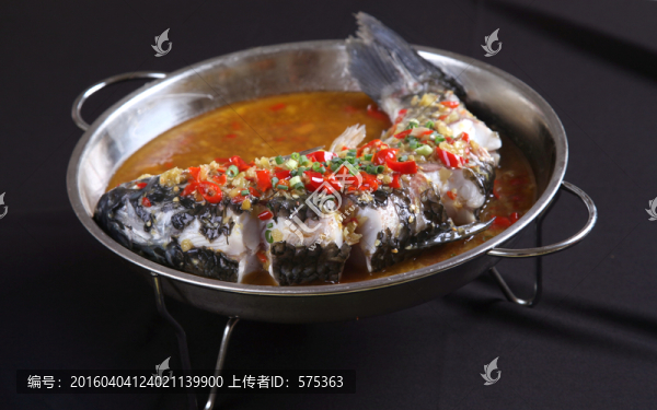 跳水魚