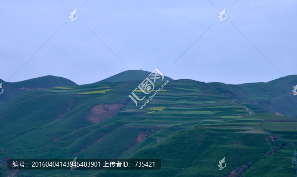 大山,農(nóng)田