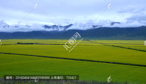 萬(wàn)畝良田