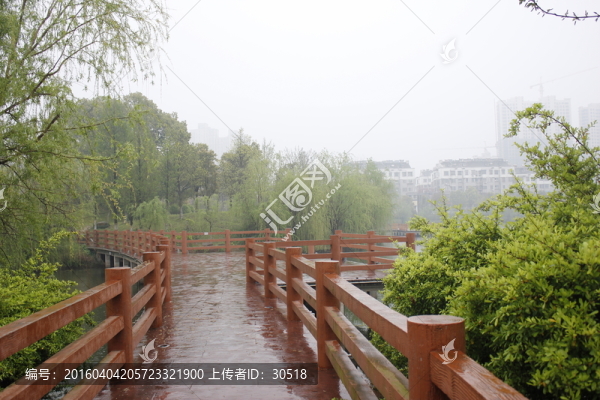 煙雨江南