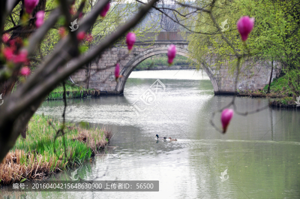 西溪濕地公園