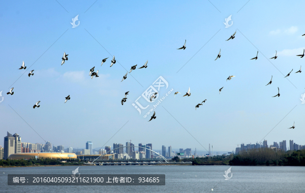 城市風(fēng)光