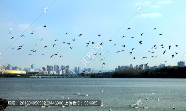 天鵝湖公園