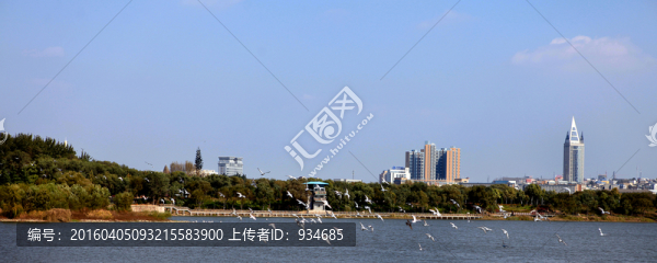 城市風(fēng)光