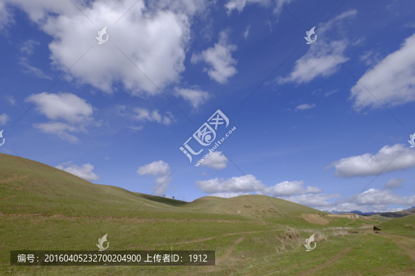 高山牧場