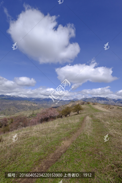 高山