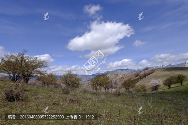 大西溝