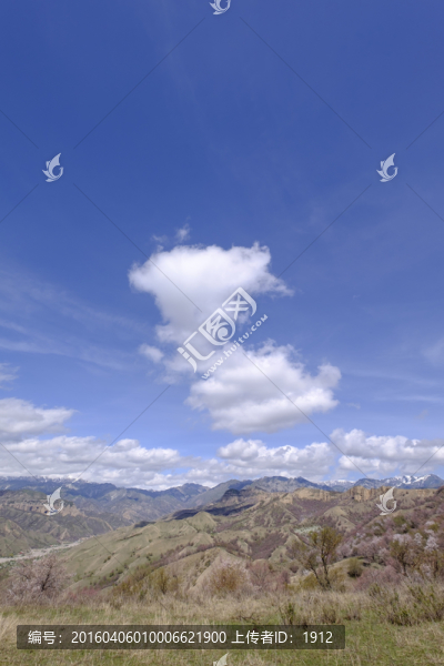 山