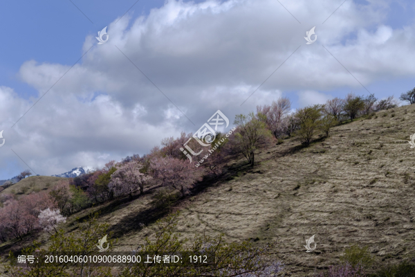 大山
