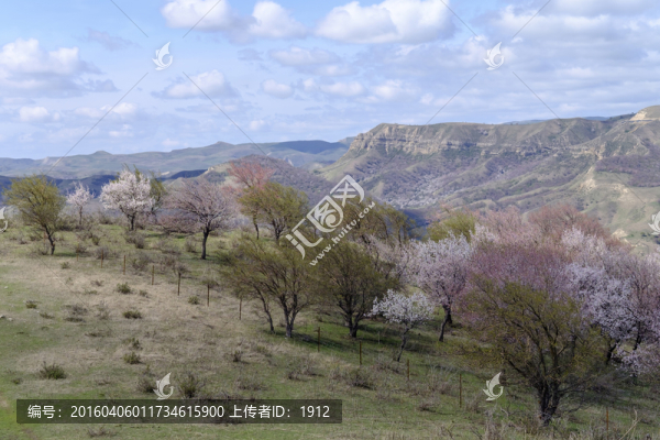 杏花溝