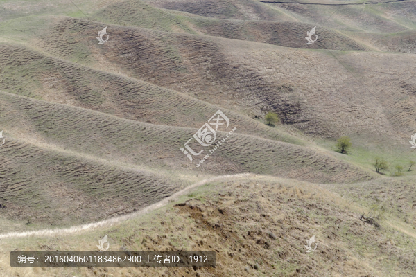 山脈