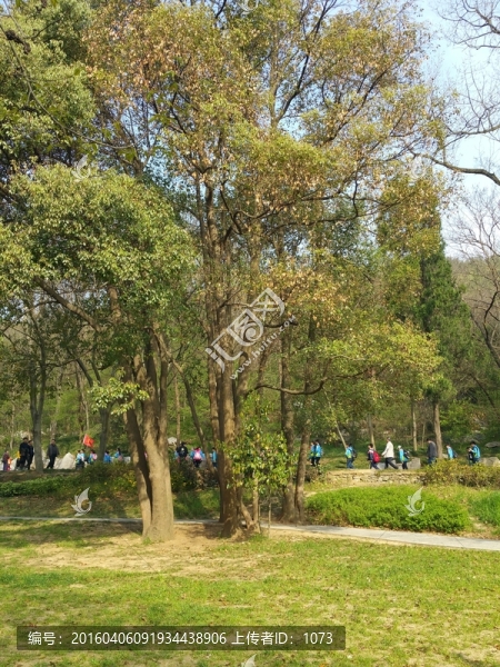 學(xué)生春游