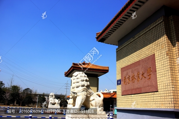 南京林業(yè)大學(xué)風(fēng)光