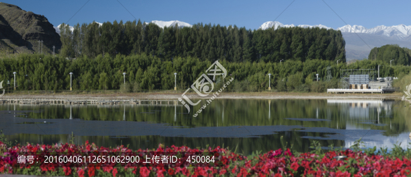 小城園林