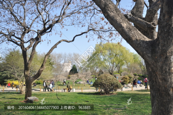綠地公園