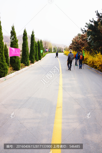山間公路