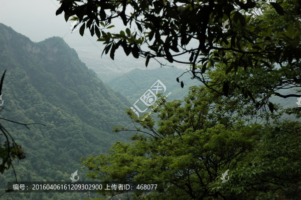 青城山