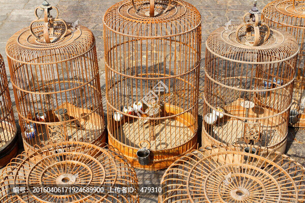 鳥籠,鳥,寵物,籠子,小鳥