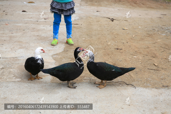 秀恩愛