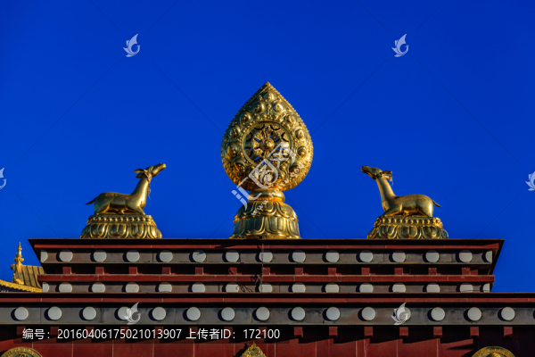 香格里拉松贊林寺（小布達拉宮）