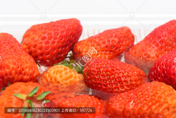 草莓
