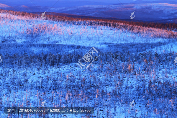 林海雪原夕照