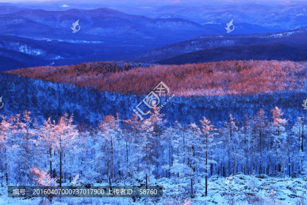 林海雪原夕照