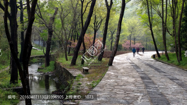 雨后山谷