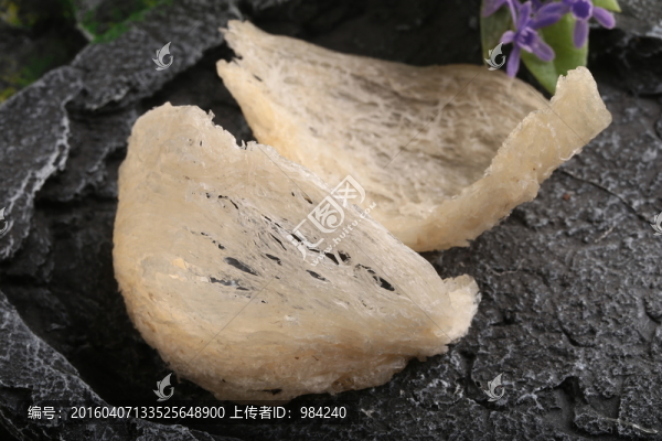 燕窩