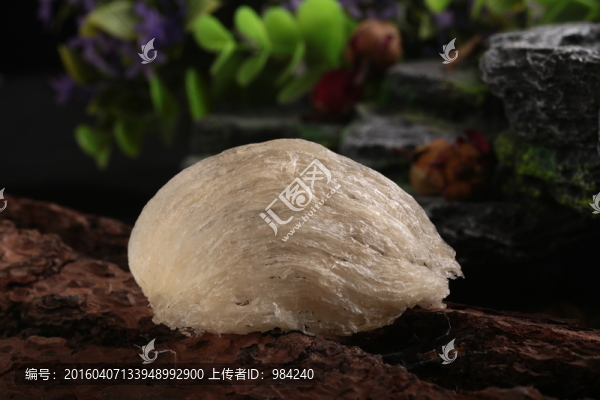 燕窩
