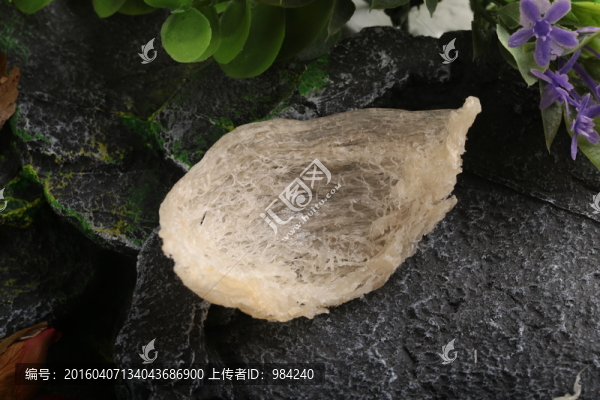 燕窩