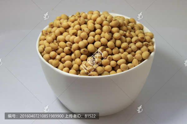 黃豆