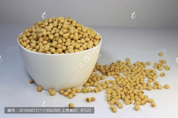 大豆