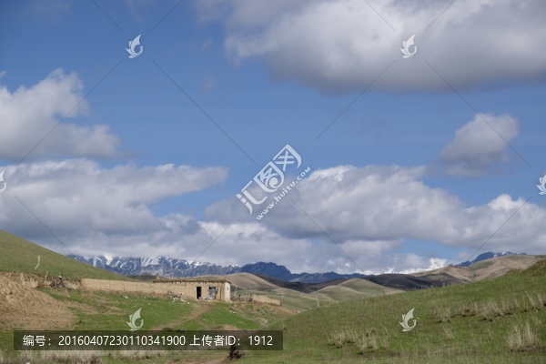 高山牧場