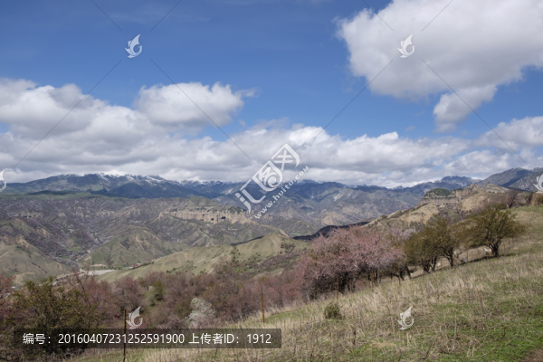 山