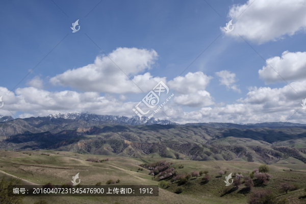 山