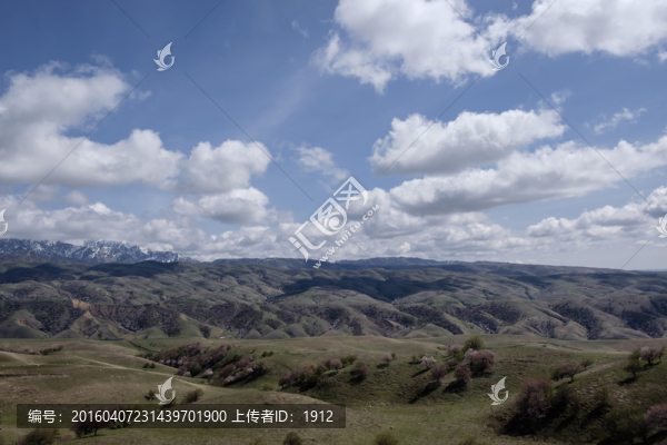 山