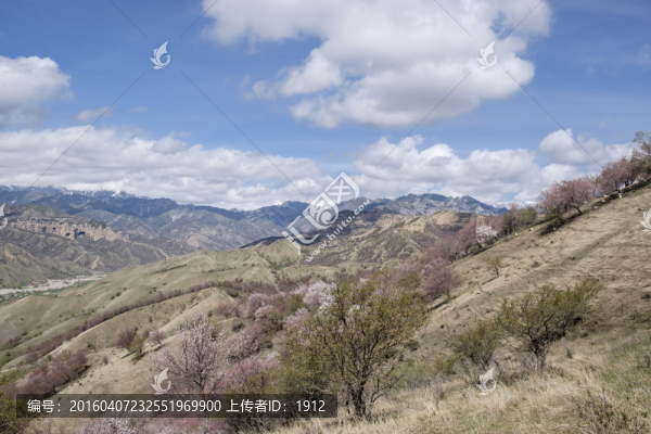 大山