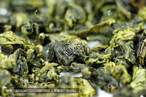 安溪鐵觀音春茶