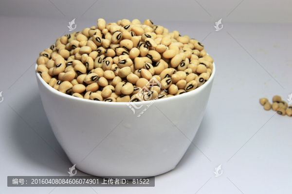 豇豆種子